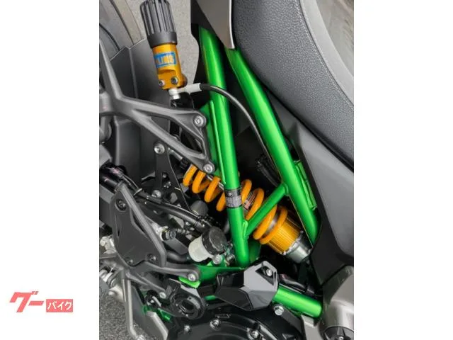 Kawasaki Z900 SE etc2.0 2025 — миниатюра 5