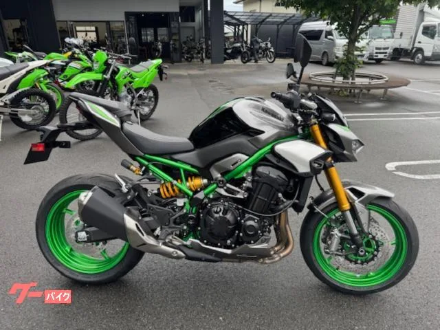 Kawasaki Z900 SE etc2.0 2025 — фото 1, купить с доставкой в Москву