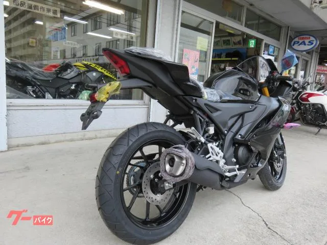 Yamaha YZF-R15 2023 2023 — миниатюра 2