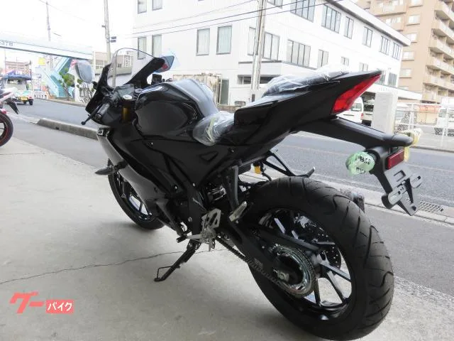 Yamaha YZF-R15 2023 2023 — миниатюра 4