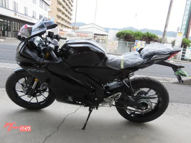 Yamaha YZF-R15 2023 2023 — миниатюра 5
