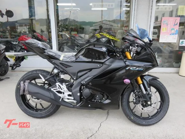 Yamaha YZF-R15 2023 2023 — фото 1, купить с доставкой в Москву