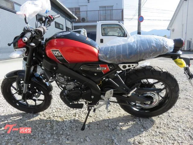Yamaha XSR125 2023 — миниатюра 5