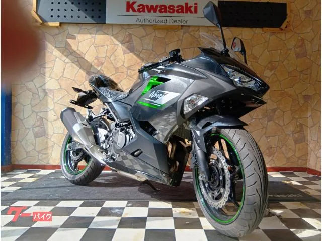 Kawasaki Ninja 250 2 ABS 2024 — миниатюра 2