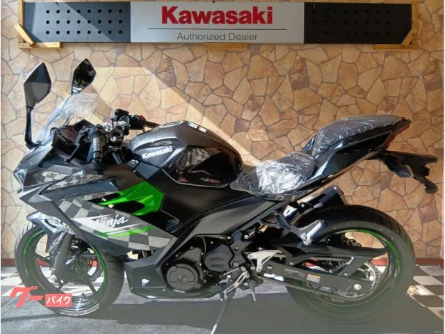 Kawasaki Ninja 250 2 ABS 2024 — миниатюра 3