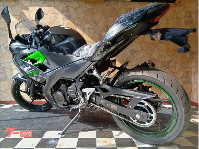 Kawasaki Ninja 250 2 ABS 2024 — миниатюра 4