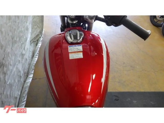 Kawasaki W230 New 2026 — миниатюра 5