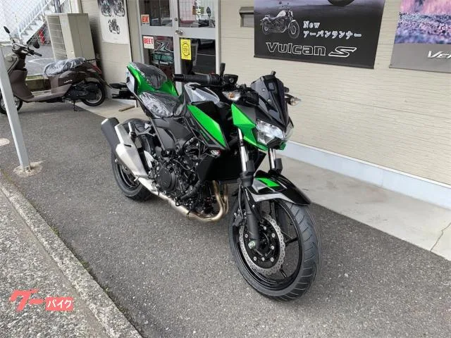 Kawasaki Z250 2023M 2023 — миниатюра 2