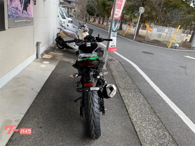 Kawasaki Z250 2023M 2023 — миниатюра 4