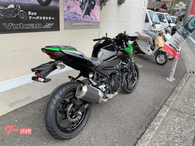 Kawasaki Z250 2023M 2023 — миниатюра 5