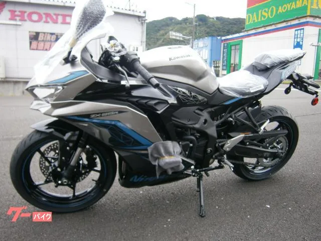 Kawasaki Ninja ZX-25R 2024 2024 — миниатюра 3