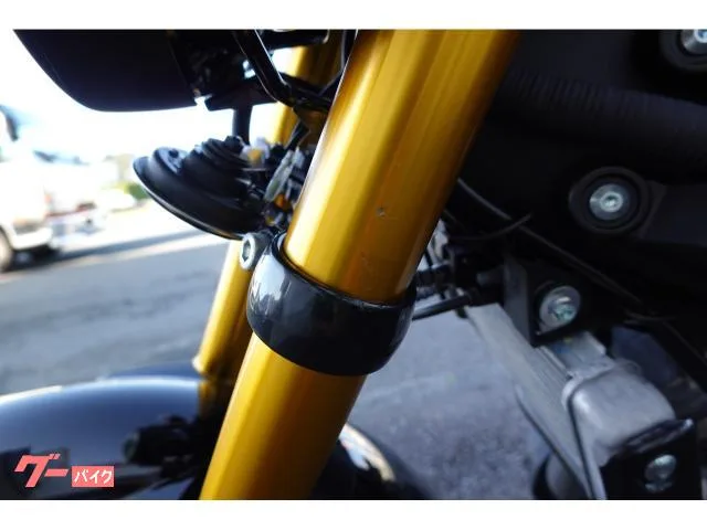 Yamaha XSR125 USB 2024 — миниатюра 3