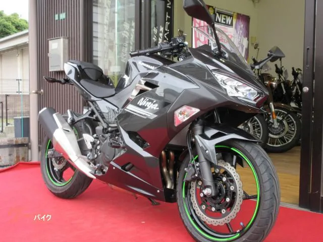 Kawasaki Ninja 250 2022 — миниатюра 2