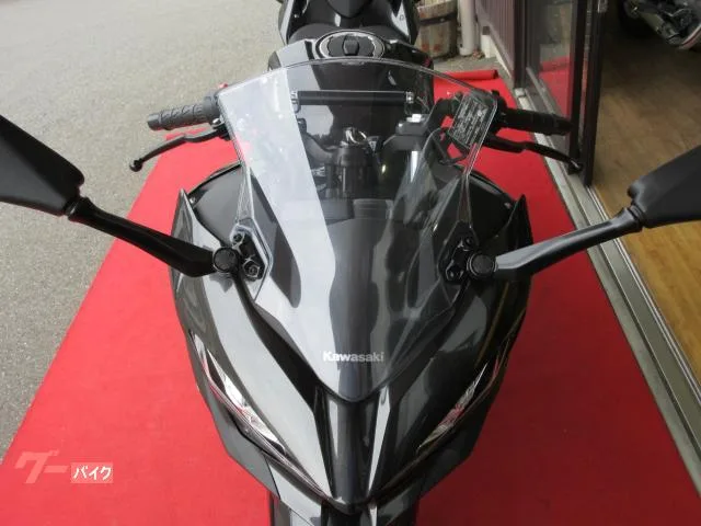 Kawasaki Ninja 250 2022 — миниатюра 3