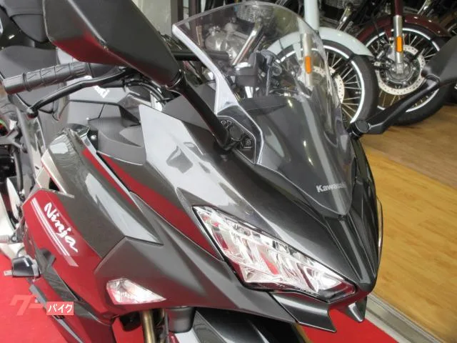 Kawasaki Ninja 250 2022 — миниатюра 4