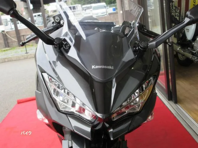 Kawasaki Ninja 250 2022 — миниатюра 5