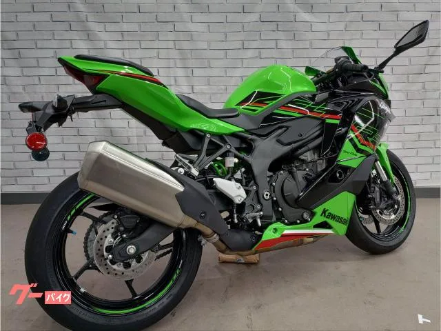 Kawasaki Ninja ZX-4RR 2024 — миниатюра 4