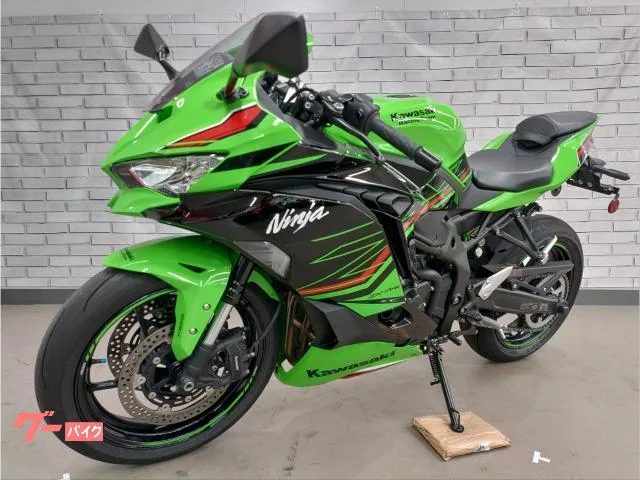 Kawasaki Ninja ZX-4RR 2024 — миниатюра 5