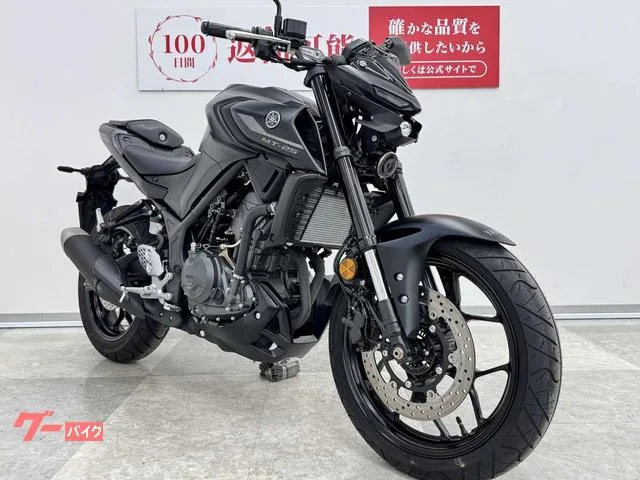 Yamaha MT-25 RG95J 2025 — миниатюра 4