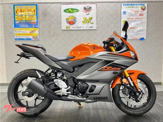 Yamaha YZF-R25 ABS USB 2022 — фото 1, купить с доставкой в Москву
