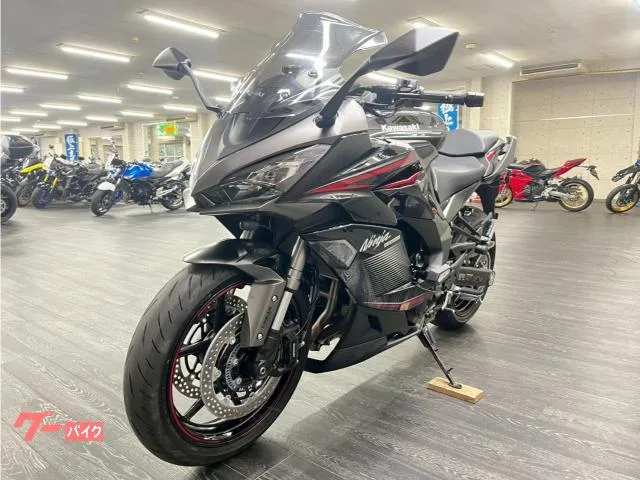 Kawasaki Ninja 1000 SX 2022 — миниатюра 5