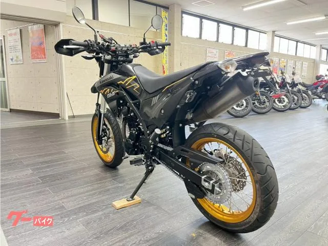Kawasaki KLX230SM USB 2023 — миниатюра 4