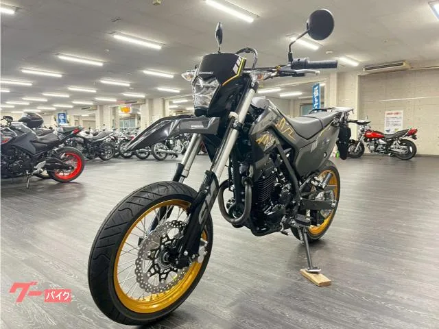 Kawasaki KLX230SM ETC USB 2023 — миниатюра 5