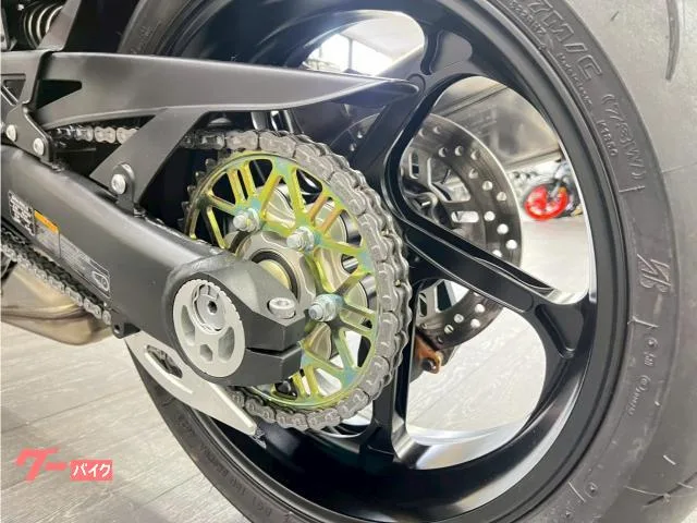 Kawasaki Ninja 1000 SX 40th GP1S BEET 2024 — миниатюра 3