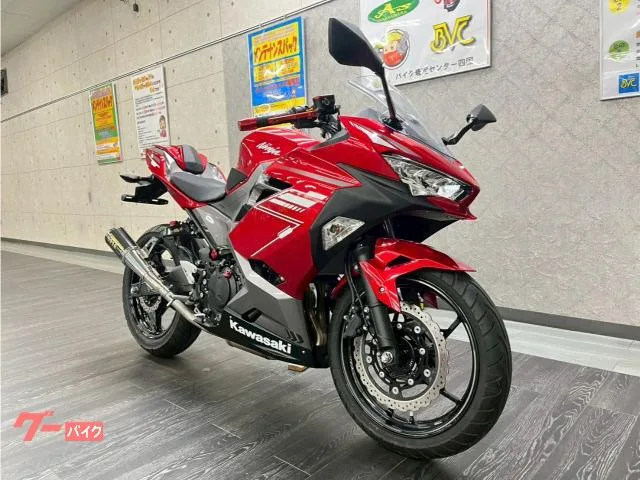 Kawasaki Ninja 250 USB 2022 — миниатюра 2