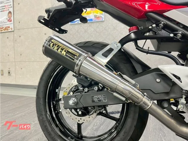 Kawasaki Ninja 250 USB 2022 — миниатюра 3