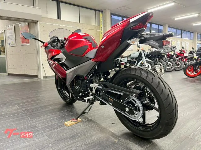 Kawasaki Ninja 250 USB 2022 — миниатюра 4