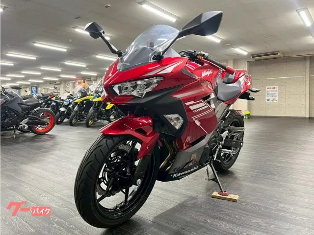 Kawasaki Ninja 250 USB 2022 — миниатюра 5