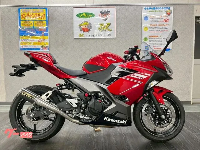Kawasaki Ninja 250 USB 2022 — фото 1, купить с доставкой в Москву