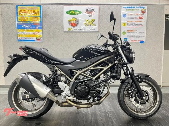 Suzuki SV650 2024 — фото 1, купить с доставкой в Москву