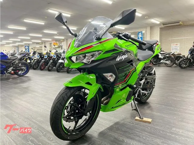 Kawasaki Ninja 250 KRT 2024 — миниатюра 5