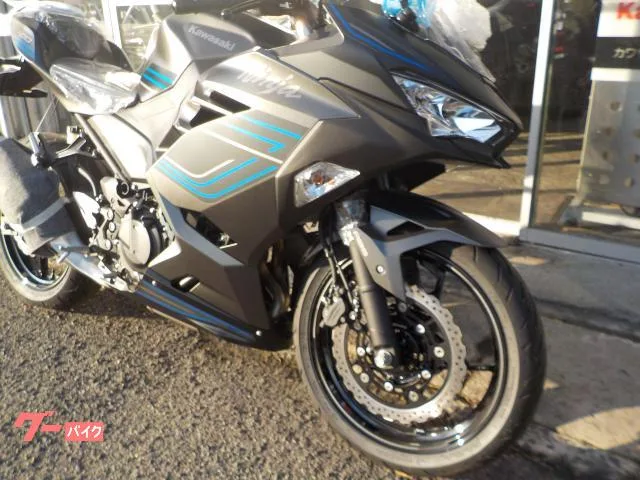 Kawasaki Ninja 400 2025 — миниатюра 2