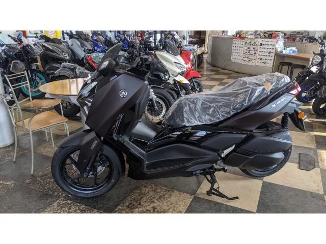Yamaha X-MAX250 2022 — фото 1, купить с доставкой в Москву