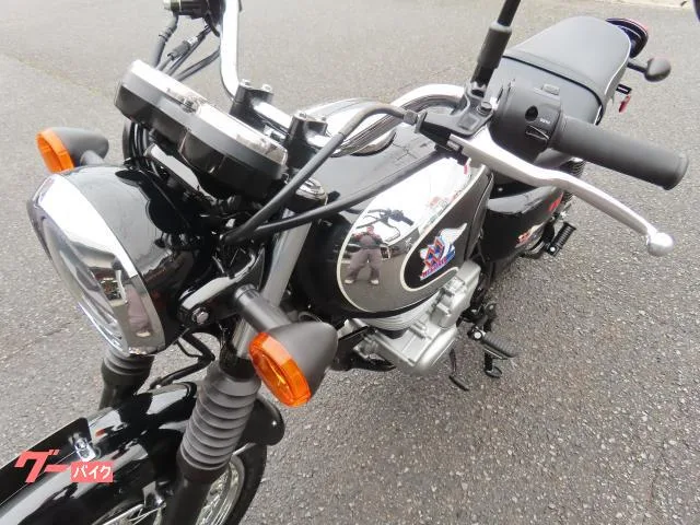 Kawasaki S1 2024 — миниатюра 3