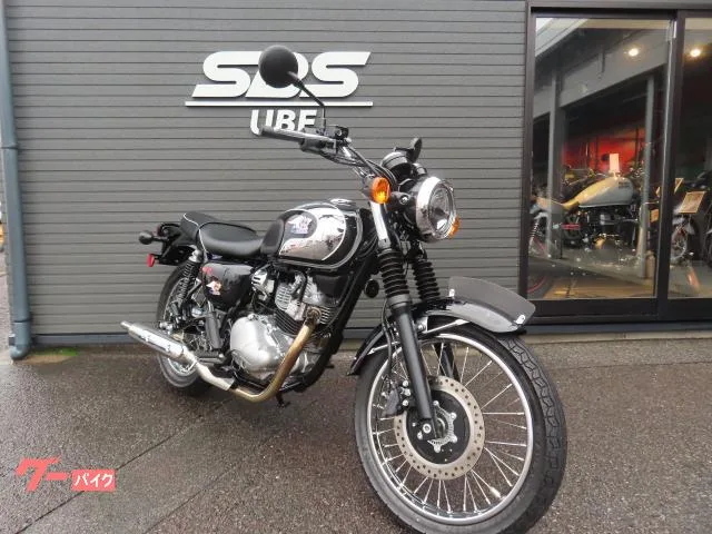 Kawasaki S1 2024 — фото 1, купить с доставкой в Москву