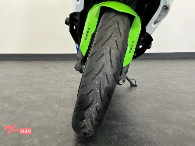 Kawasaki Ninja ZX-4RR 40 ETC 2024 — миниатюра 3
