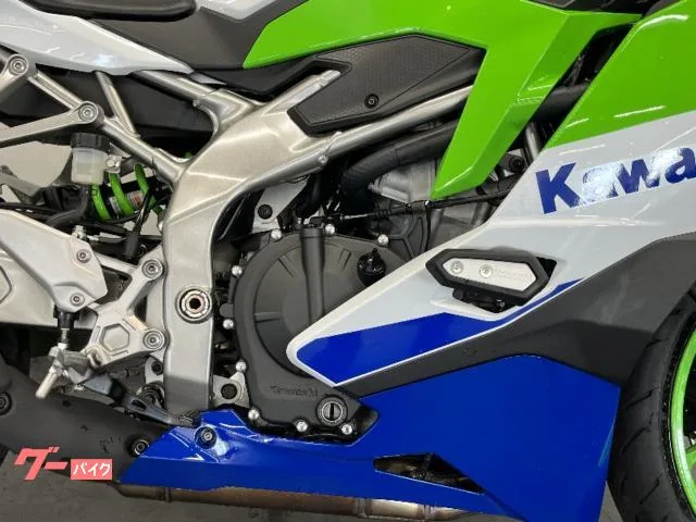 Kawasaki Ninja ZX-4RR 40 ETC 2024 — миниатюра 5