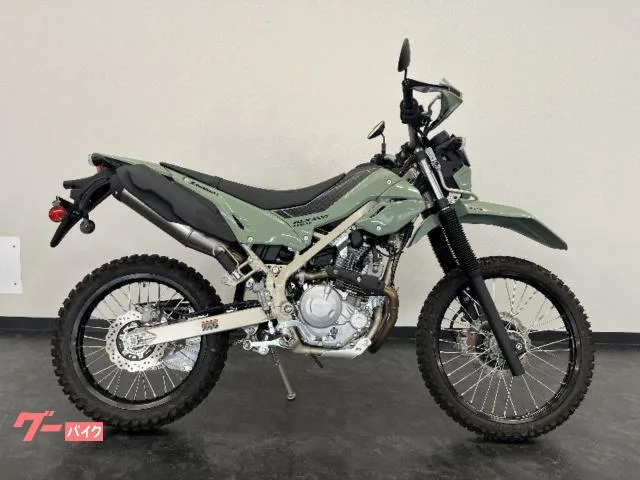 Kawasaki KLX230 LED 2025 — миниатюра 2