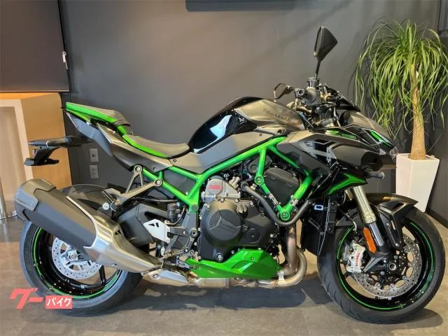 Kawasaki Z H2 SE / 2023 — фото 1, купить с доставкой в Москву