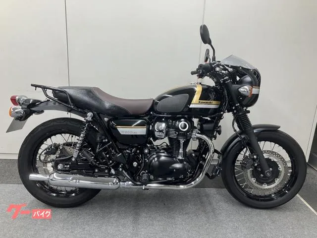 Kawasaki W800 ETC 2022 — миниатюра 2