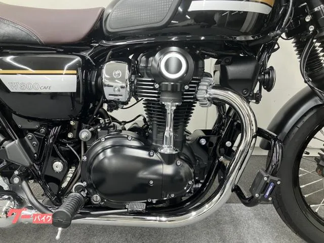 Kawasaki W800 ETC 2022 — миниатюра 5