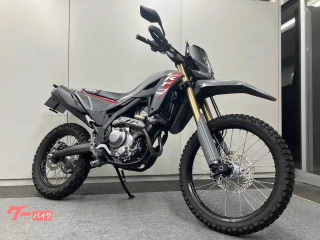 Honda CRF250L ETC2.0 LED 2025 — фото 1, купить с доставкой в Москву