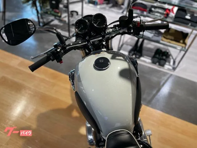 Kawasaki W800 2026 — миниатюра 5