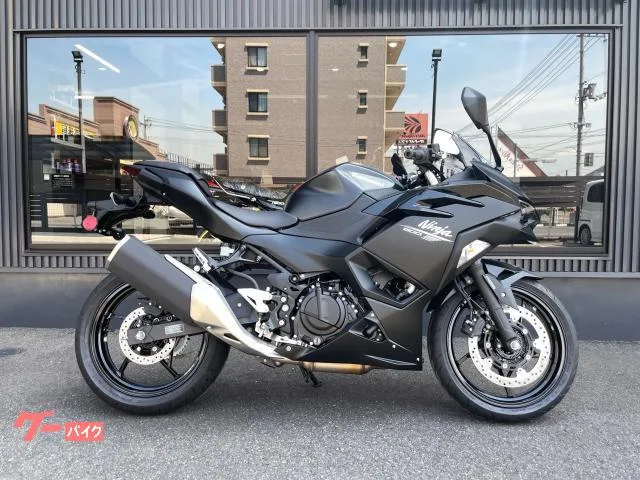 Kawasaki Ninja 500 2026 — фото 1, купить с доставкой в Москву