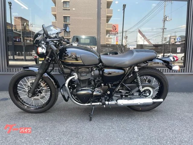 Kawasaki W800 2023 — миниатюра 4
