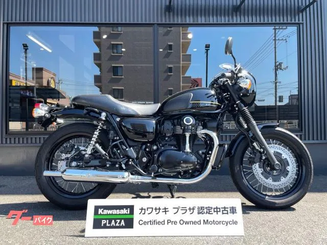 Kawasaki W800 2023 — фото 1, купить с доставкой в Москву